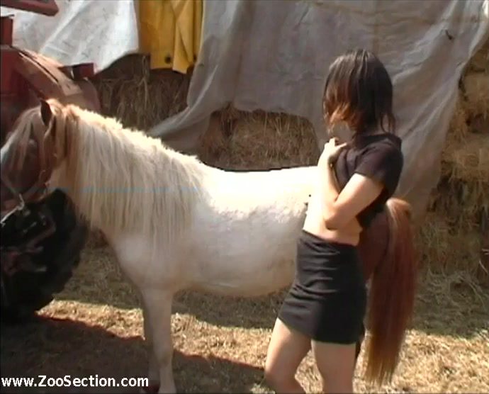 Pony fucks girl - Sex with Horse