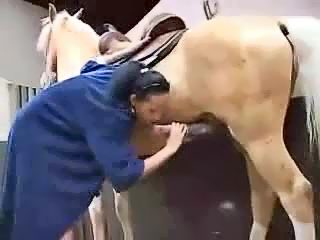 Bisex horse porn