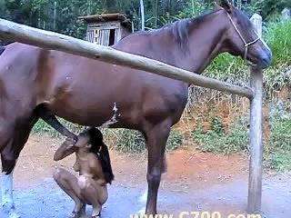 Asian horse beastiality