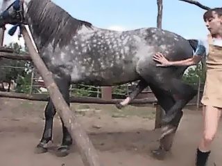 Woman and horse have first sex